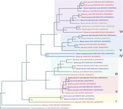 Insights on the Evolutionary Genomics of the Blautia Genus: Potential New Species and Genetic Content Among Lineages